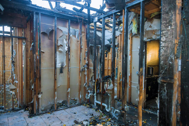 Professional Soot Cleanup technician working in Ojus, FL